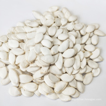 Price Online For Sale Snow White  In Shell Pumpkin Seeds